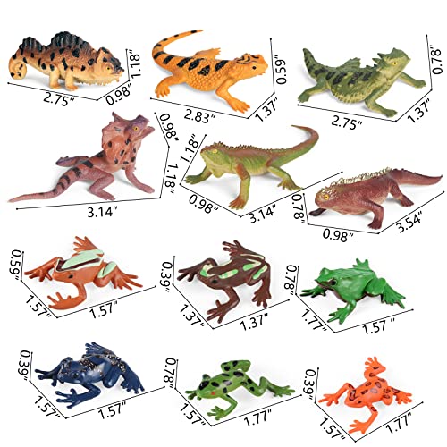 Sienon 12PCS Reptile Lizard Animals Figures Mini Plastic Realistic Cold Blooded Amphibian Frog Jungle Chameleon Rainforest Character Toys for Kids Educational Halloween Prank Props Diorama Easter Eggs - Image 5