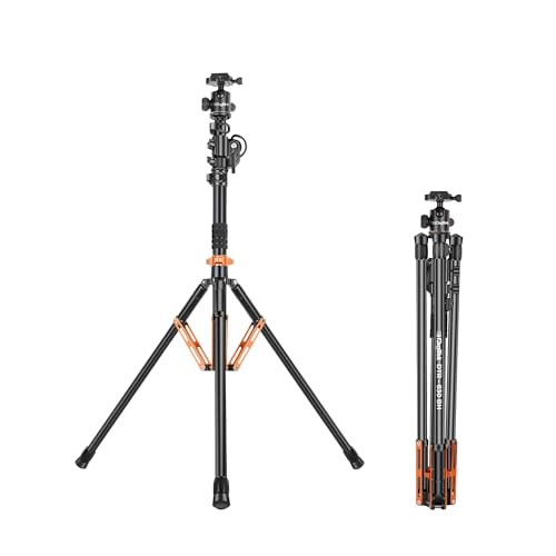 Digitek (DTR 830BH) 8.26ft Aluminum Light Stand Cum Tripod, 5Kg Max Load, 360° Adjustment, Ball Head, 4-Section, Overhead Shooting, 1/4 & 3/8 Screws, Cameras & Video Lights Compatible, for Photography - Image 1