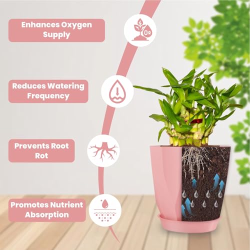 JD FRESH 5 Pack Plastic ARO Flower Pots with Drainage & Bottom Tray/Lightweight, UV & Weather Resistant/6 Inch Planters for Indoor/Outdoor/Home/Balcony/Terrace/Garden Plant Pots (Baby Pink) - Image 5