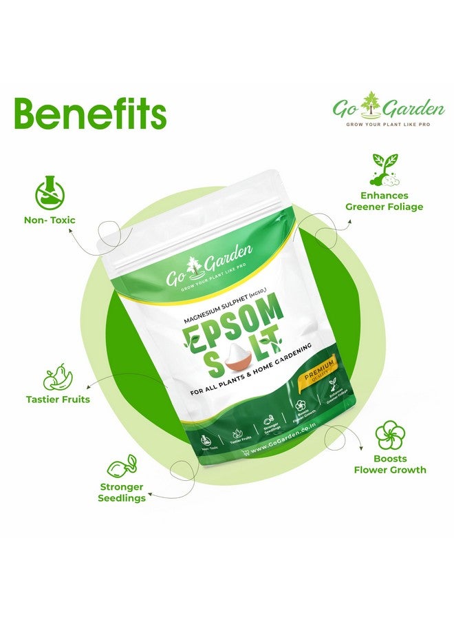 Go Garden ملح إبسوم ماغنيسيوم سلفات لنمو النباتات - 400 جرام - Image 3