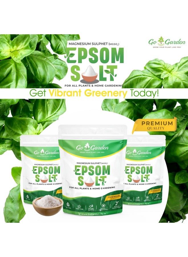 Go Garden ملح إبسوم ماغنيسيوم سلفات لنمو النباتات - 400 جرام - Image 2