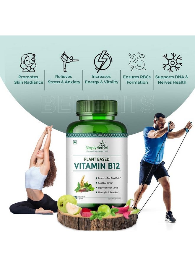 Simply Herbal كبسولات فيتامين ب12 النباتية العشبية ببساطة تحسن من وظائف الدماغ والجهاز العصبي للرجال والنساء، (60 كبسولة) - Image 3
