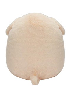Squishmallows Squishmallows 12-Inch Stevon the Tan Dog Plush by Kellytoy – Soft, Cuddly, Washable Squishy Toy for Kids, Girls & Boys – Collectible, Multicolor  - Image 4