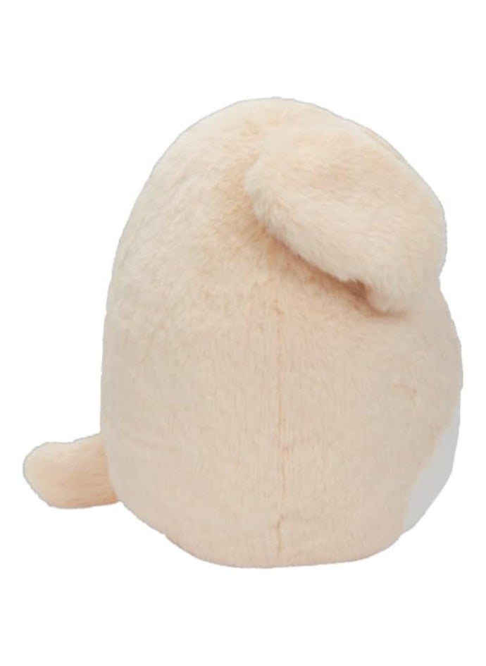 Squishmallows Squishmallows 12-Inch Stevon the Tan Dog Plush by Kellytoy – Soft, Cuddly, Washable Squishy Toy for Kids, Girls & Boys – Collectible, Multicolor  - Image 3