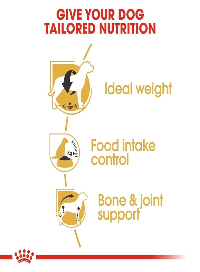 رويال كانين طعام رويال كانين للكلاب البالغة من فصيلة بيغل، 3 كجم، طعام جاف، يدعم الوزن المثالي، يساعد على التحكم في كمية الطعام المتناولة، ويعزز صحة العظام والمفاصل - Image 2