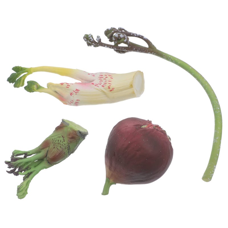 Realistic Vegetable Models 4Pcs Set for Kitchen Decor Photography Props and Educational Play - Image 2