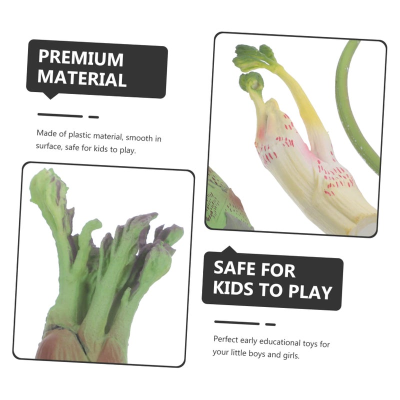 Realistic Vegetable Models 4Pcs Set for Kitchen Decor Photography Props and Educational Play - Image 5