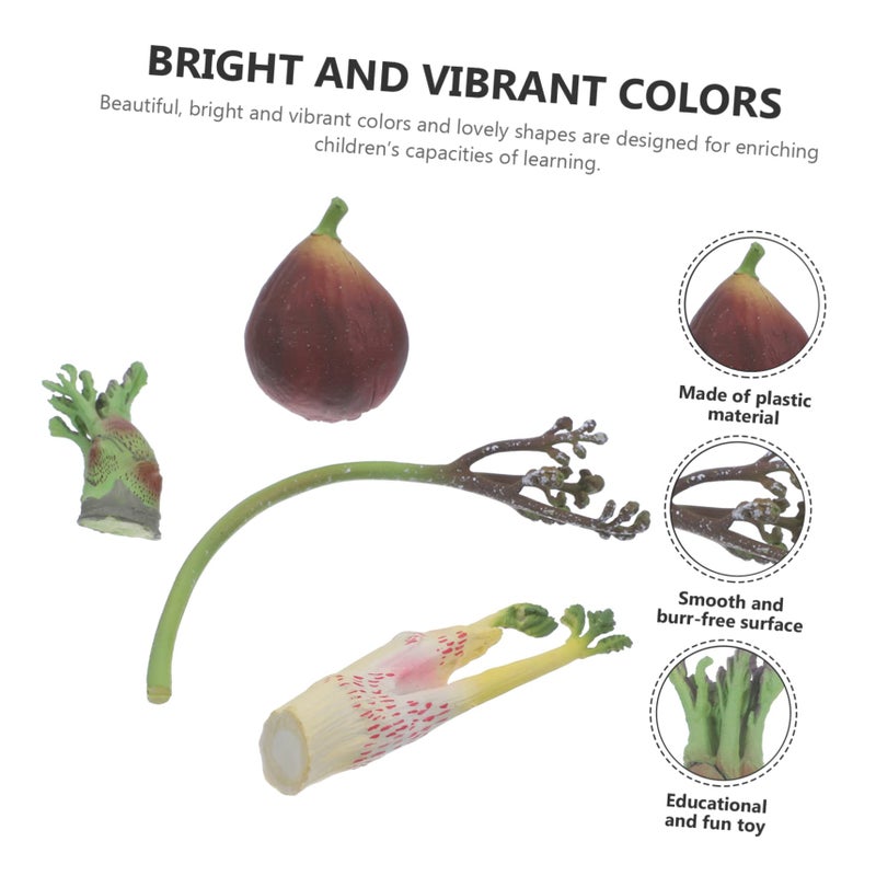 Realistic Vegetable Models 4Pcs Set for Kitchen Decor Photography Props and Educational Play - Image 4