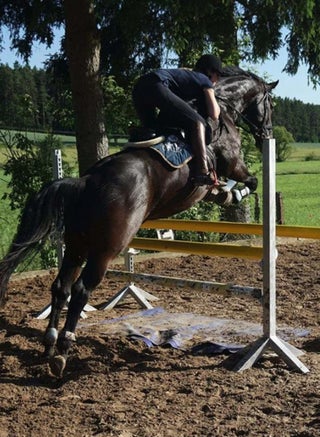 Full Seat Riding Breeches Horse Equestrian Pants Women - view 4