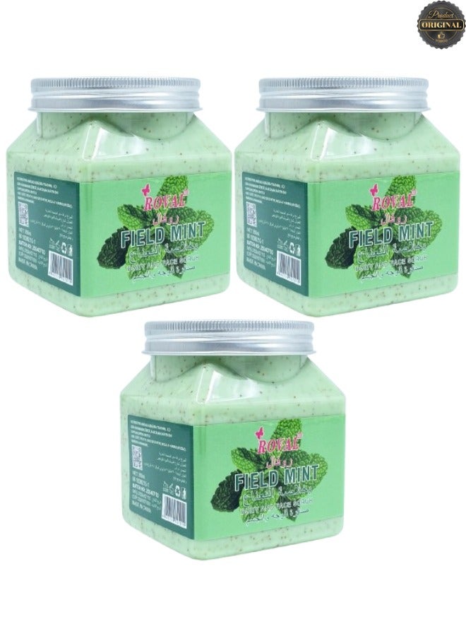 روفال 3 قطع مقشر للجسم والوجه بنكهة النعناع البري - Image 1