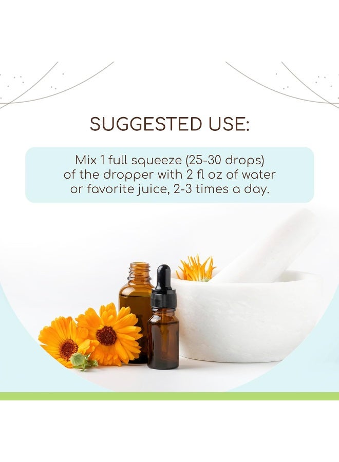 HerbEra HerbEra Menopause Formula B120 Alcohol-Free Extract Tincture, Concentrated Liquid Drops Natural Vitex Berry, Licorice Root, Motherwort, Dong Quai Root, Burdock Root, Black Cohosh Root - Image 3