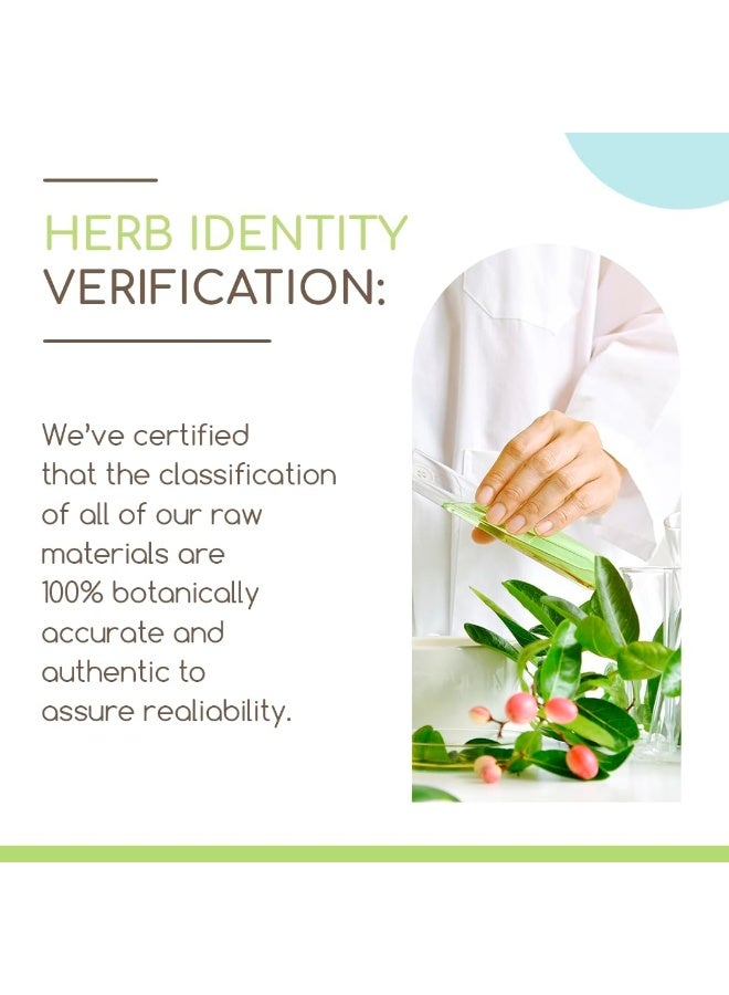 HerbEra HerbEra Menopause Formula B120 Alcohol-Free Extract Tincture, Concentrated Liquid Drops Natural Vitex Berry, Licorice Root, Motherwort, Dong Quai Root, Burdock Root, Black Cohosh Root - Image 2