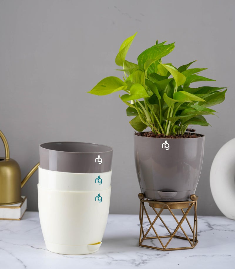 Nurturing Green® Combo of 4 Self Watering Flower Pots for Living Room & Home Decor | Plastic Plant Pots for Indoor, Balcony & Garden (Color: Assorted, Size: 14cm x 12.5cm Each) - Image 1