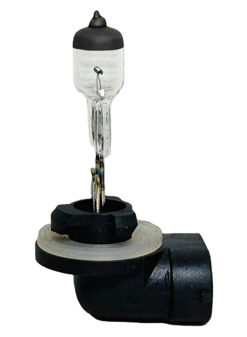 BIOLIGHT 881 - Fog light & Daytime running light Bulb 12V 50W - Image 3