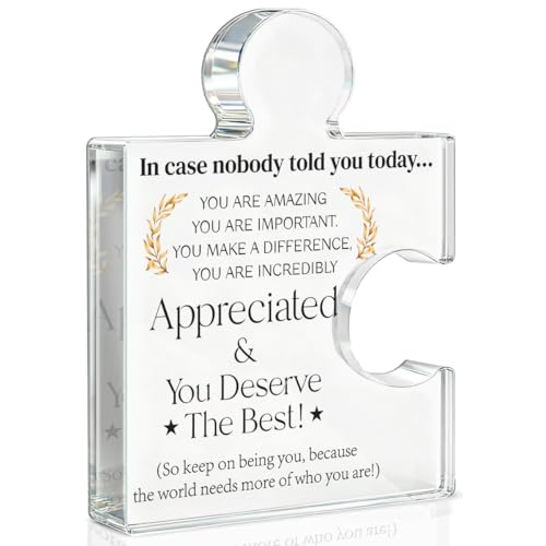 Yigaue Employee Appreciation Gifts Thank You Gift Goodbye Leaving Gifts for Coworkers Colleagues Employees, in Case Nobody Told You Today You Are Appreciated Acrylic Puzzle Piece Plaque Office Decor - Image 1