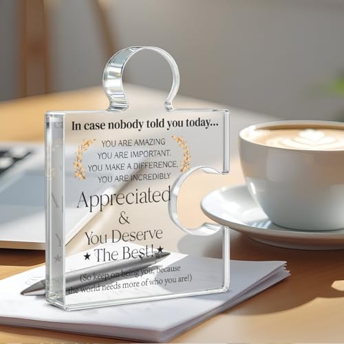 Yigaue Employee Appreciation Gifts Thank You Gift Goodbye Leaving Gifts for Coworkers Colleagues Employees, in Case Nobody Told You Today You Are Appreciated Acrylic Puzzle Piece Plaque Office Decor - Image 4