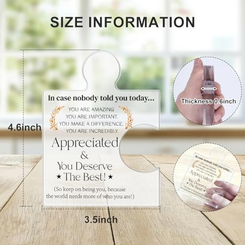 Yigaue Employee Appreciation Gifts Thank You Gift Goodbye Leaving Gifts for Coworkers Colleagues Employees, in Case Nobody Told You Today You Are Appreciated Acrylic Puzzle Piece Plaque Office Decor - Image 2