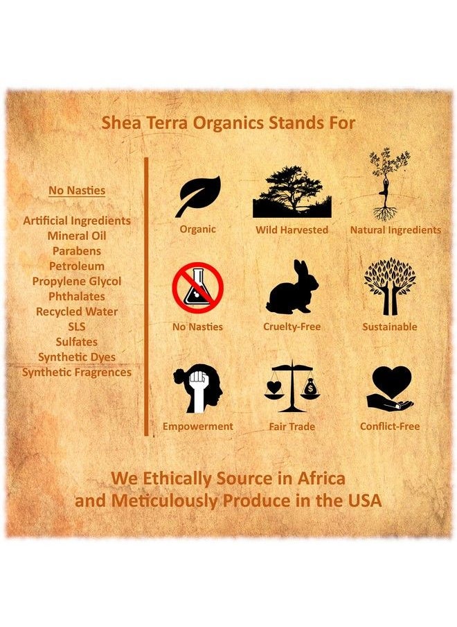 Shea Terra Organics Shea Terra Ethiopian Black Seed Coldpressed Extra Virgin Oil | All Natural & Oil To Boost Immune System Improve Hair Growth & Skin Tone Manage Chronic Dry Skin Eczema & More 8 Oz  - Image 5
