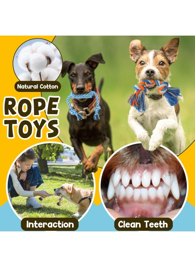 Bukela 9 Pack Luxury Puppy Toys for Teething Small Dogs, Puppy Chew Toys with Cute Squeaky Dog Toys, Ball and More Rope Dog Chew Toys - Image 5