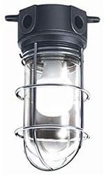 Krowne Krowne Metal 25102 Replacement Globe for 446003 Vapor Proof Light Fixture 