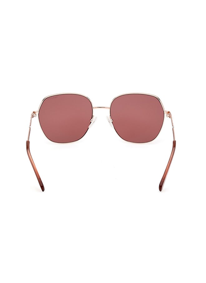 GANT Square Sunglasses For Women - Shiny Deep Gold  - Image 5