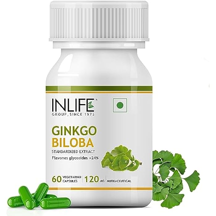INLIFE Ginkgo Biloba Extract Capsules 120mg | Herbal Supplement - 60 Vegetarian Capsules - Image 1