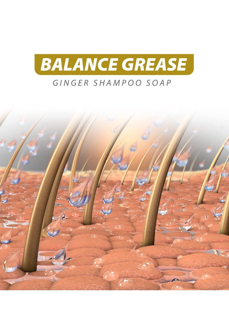 Excefore Ginger Hair Regrowth Shampoo Bar, 2 Pcs Natural Ginger Shampoo Bar, Anti Dandruff, Hair Loss Treatment, Promotes Hair Growth for All Hair Types - Image 4