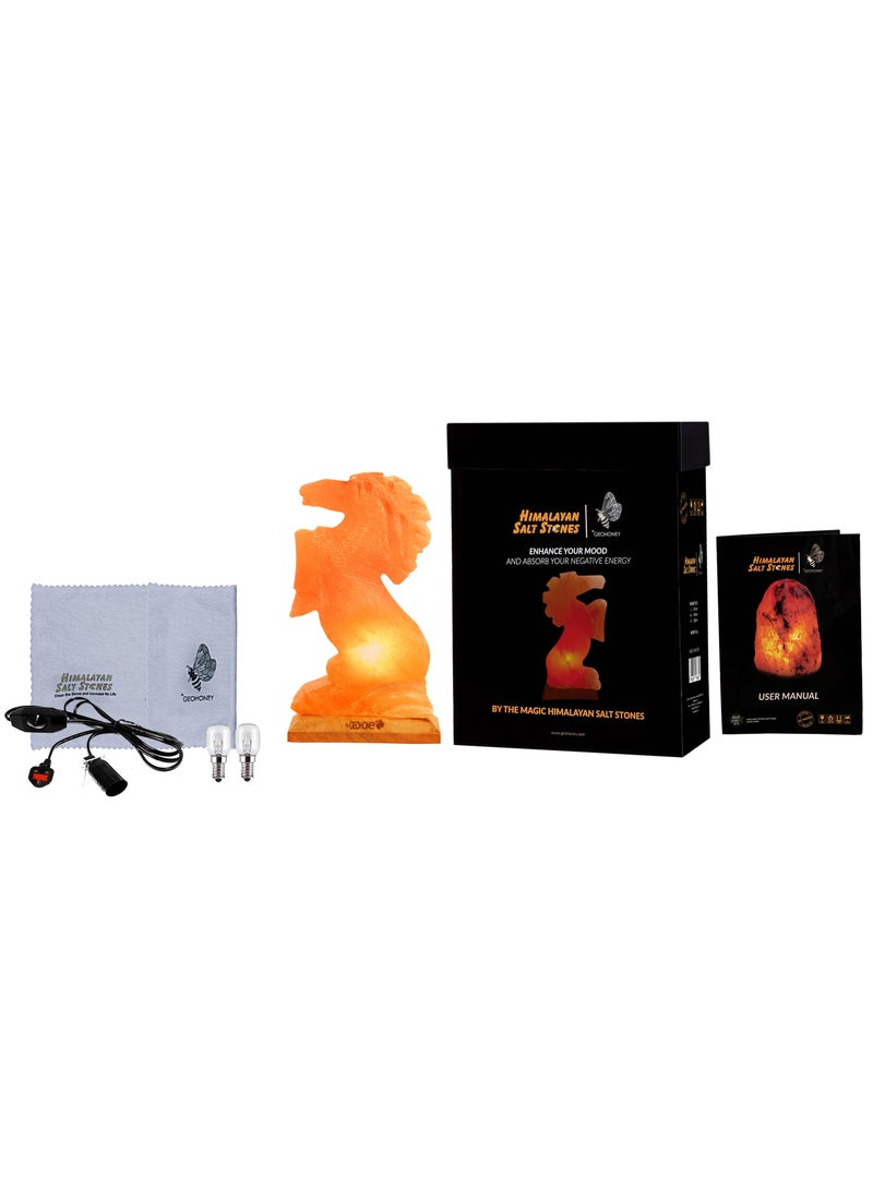 Geohoney - Himalayan Salt Lamp Horse - Image 5