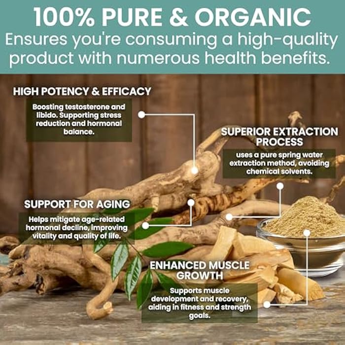 Holistic Bin Tongkat Ali Extract Powder – Premium Longjack Harvested from Sumatran Forests – Herbal – No Fillers or Preservatives – 50 Grams - Image 4