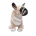 YONLIT Lifelike French Bulldog Stuffed Animal Animated Plush Puppy Toy Doll Super Realistic Dogs Act Like Real Excellent Gifts for Kids Birthday Party Dog Collection 9 Inches Sitting Bulldog - Image 4