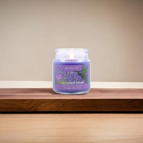 Hosley Lavender Fields Highly Fragranced, 2.65 Oz Wax, Jar Candle (G65243_Purple) - Image 1