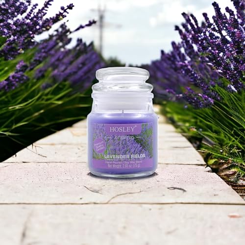Hosley Lavender Fields Highly Fragranced, 2.65 Oz Wax, Jar Candle (G65243_Purple) - Image 3