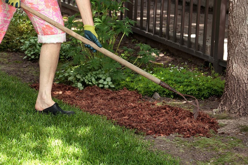 SuperMoss (23248) Coco Mulch, Mini Bale (0.6 ft3), Natural Brown - Image 4