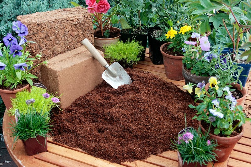 SuperMoss (23248) Coco Mulch, Mini Bale (0.6 ft3), Natural Brown - Image 5