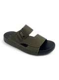 AL Fanoos OLIVE