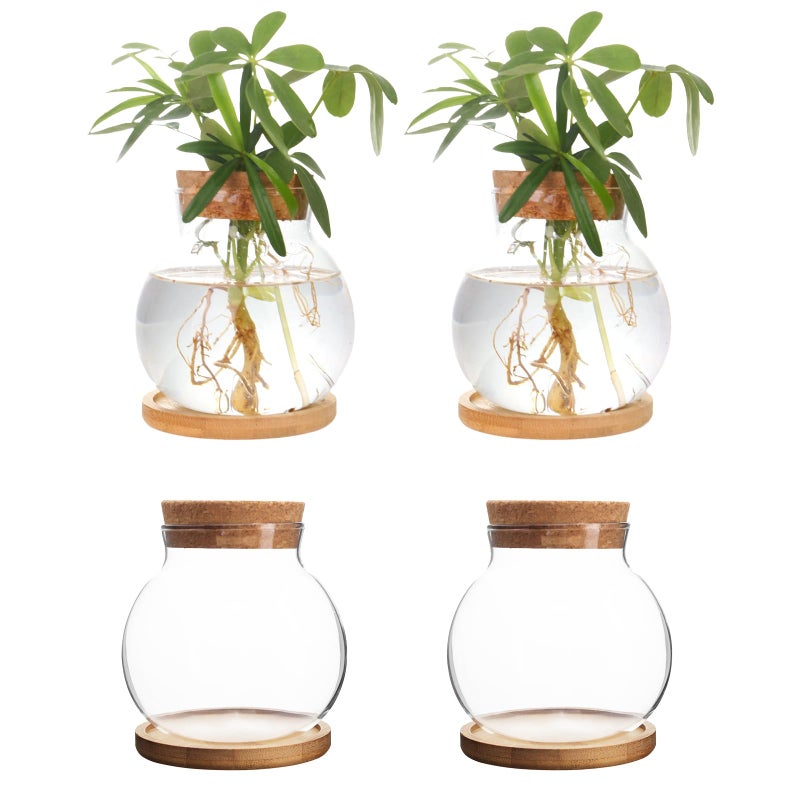 CHPINDAM Plant Propagation Station Hydroponic Glass Container Vase Jars  with Wooden Saucer for Desks  Houses  Garden Decorations  Home Kitchen Decorations and Gifts for Plant Lovers (4) - Image 1