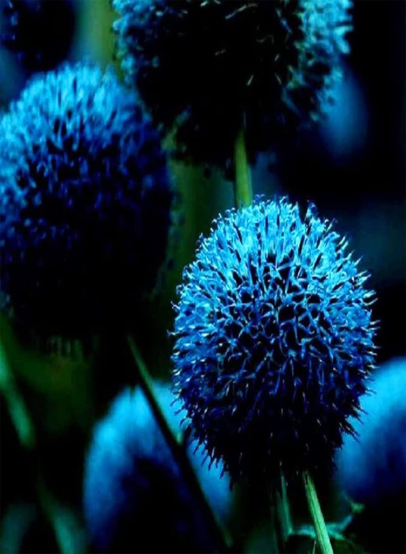 جي جوت 10 قطعة من ديكور Blauwe Alliumbollen Thuis Balkon Hek Tuin بلومن Voeg لون توين مع سحاب غريب Eenvoudig onderhoud - Image 1