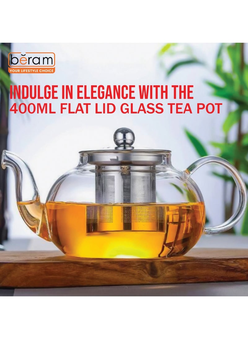 Glass Teapot with Infuser, 400ml, Borosilicate Clear Tea Kettle with Removable 18/8 Stainless Steel Infuser, Stovetop Safe, Hand Crafted Tea Kettle for Home, Loose Leaf Tea Maker, Tea Brewer