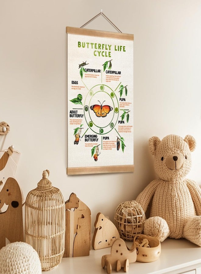 ZTGDA Butterfly Life Cycle Poster Linen Canvas Wall Art with Wooden Frame Educational Nature Chart for Toddler Playroom Classroom Homeschool or Montessori Learning Decor (Butterfly life cycle) - Image 5