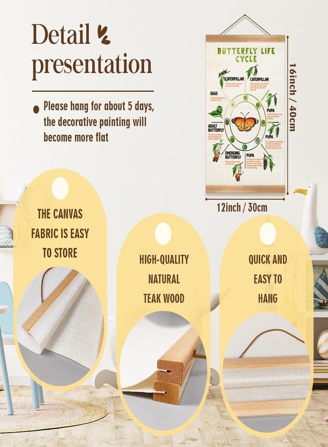 ZTGDA Butterfly Life Cycle Poster Linen Canvas Wall Art with Wooden Frame Educational Nature Chart for Toddler Playroom Classroom Homeschool or Montessori Learning Decor (Butterfly life cycle) - Image 2