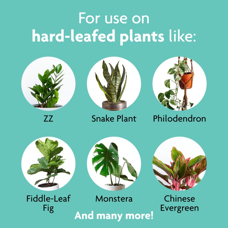 Miracle-Gro Leaf Shine, 8-Ounce Green - Image 4