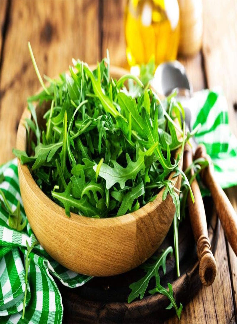 GGOOT 500 Pcs Arugula Seeds for Planting - Plant an Outdoor Vegetable Home Garden - Image 2