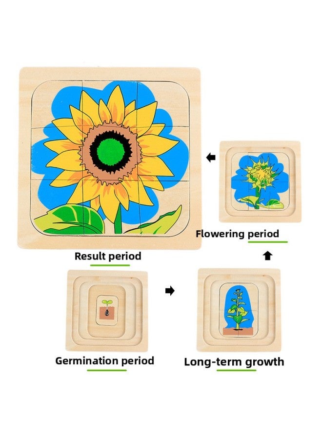 Hen erfly Sunflower Montessori Enlightenment Early Education Children Aged 1-3 Wooden Growth Process Multi-layer Puzzle-Color:Sunflower - Image 1