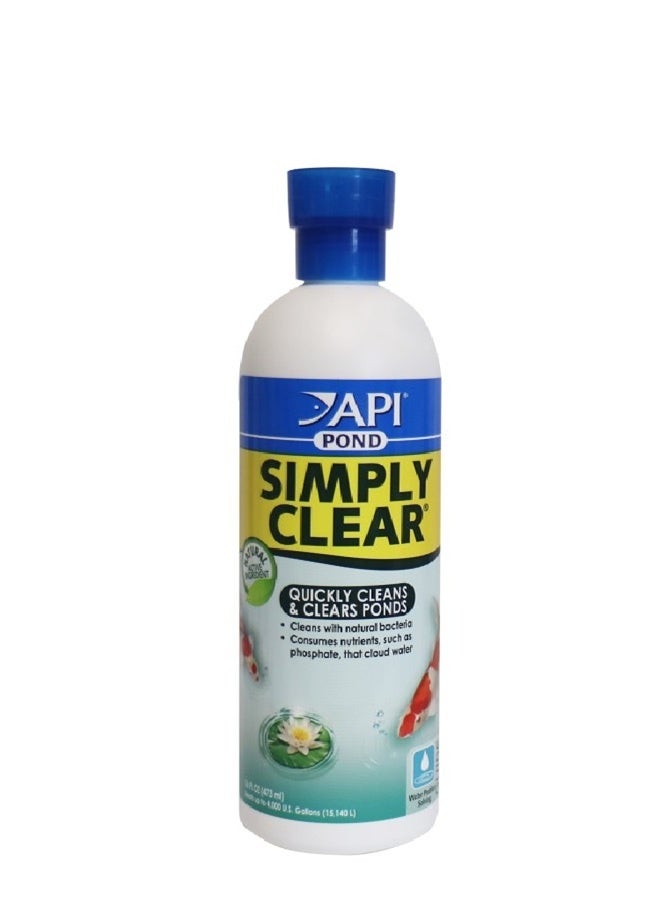 API Pond Simply Clear - 16 Oz