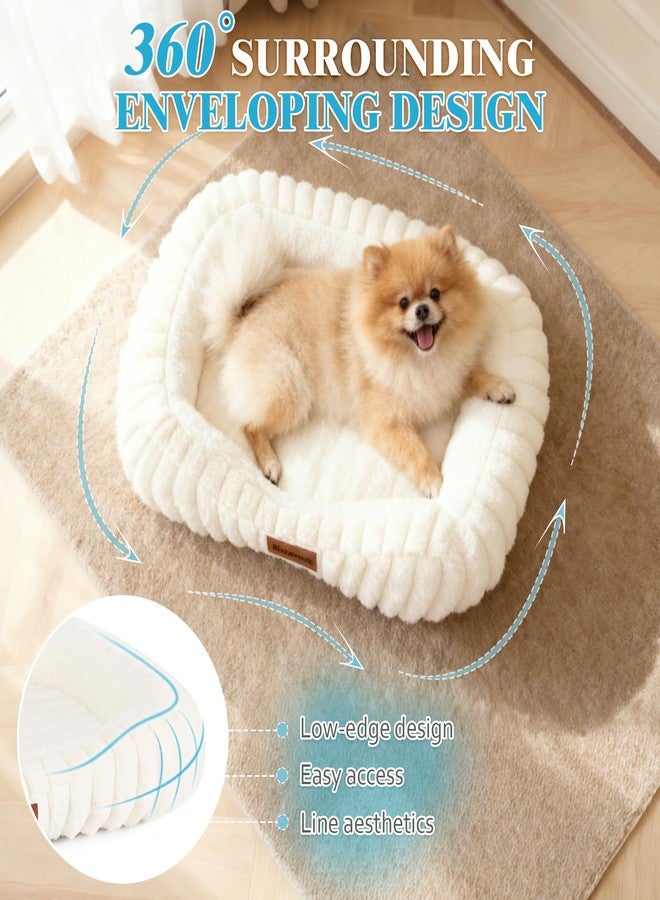 KISIMUY Orthopedic Dog Bed, Washable Small Dog Couch for Senior Dogs - Image 4