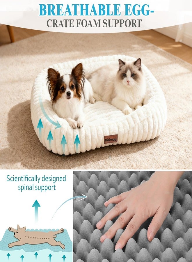 KISIMUY Orthopedic Dog Bed, Washable Small Dog Couch for Senior Dogs - Image 3