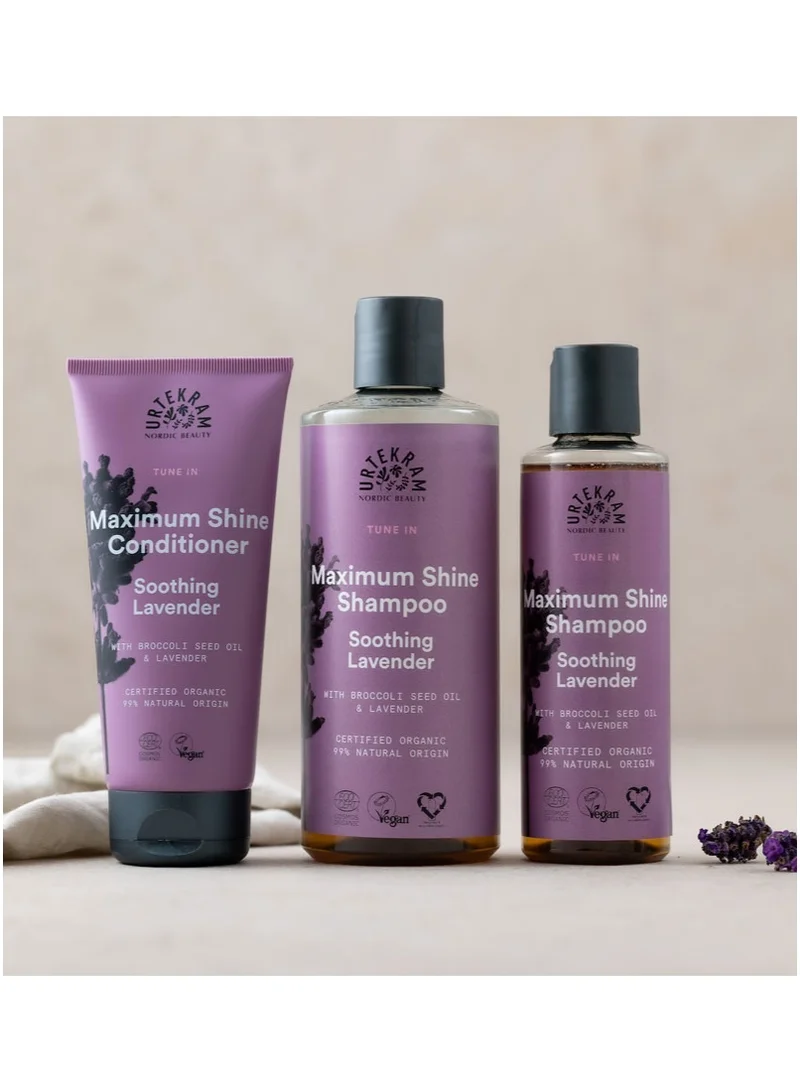 Urtekram Organic Soothing Lavender Shine Shampoo, 250ml - 100% Organic and Vegan - Silicone and Paraben-Free