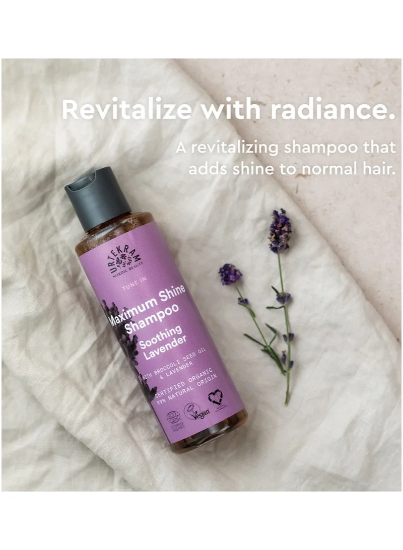 Urtekram Soothing Lavender Shine Shampoo, 250ml - 100% Organic and Vegan - Silicone and Paraben-Free