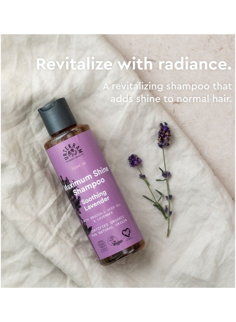 Urtekram Organic Soothing Lavender Shine Shampoo, 250ml - 100% Organic and Vegan - Silicone and Paraben-Free - Image 2
