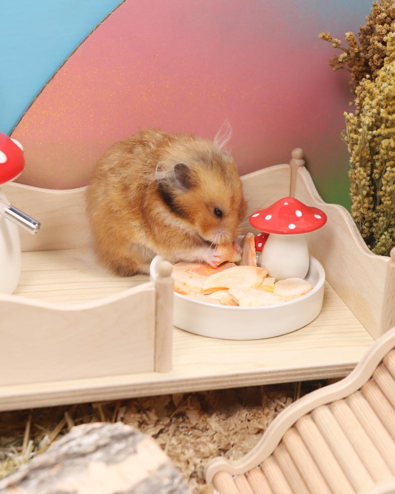 Niteangel Hamster Snack & Treats Toy - Small Animal Natural Treat for Dwarf Syrian Robo Hamsters Gerbils Mice Lemmings Degus or Other Small-Sized Pets - Image 5